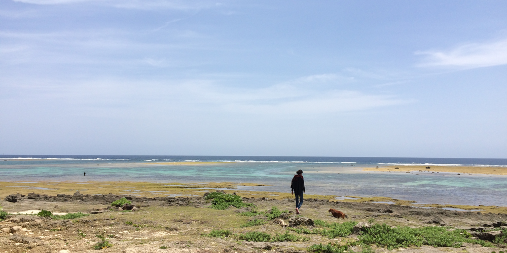 IMG_1093.png IMG 1093
